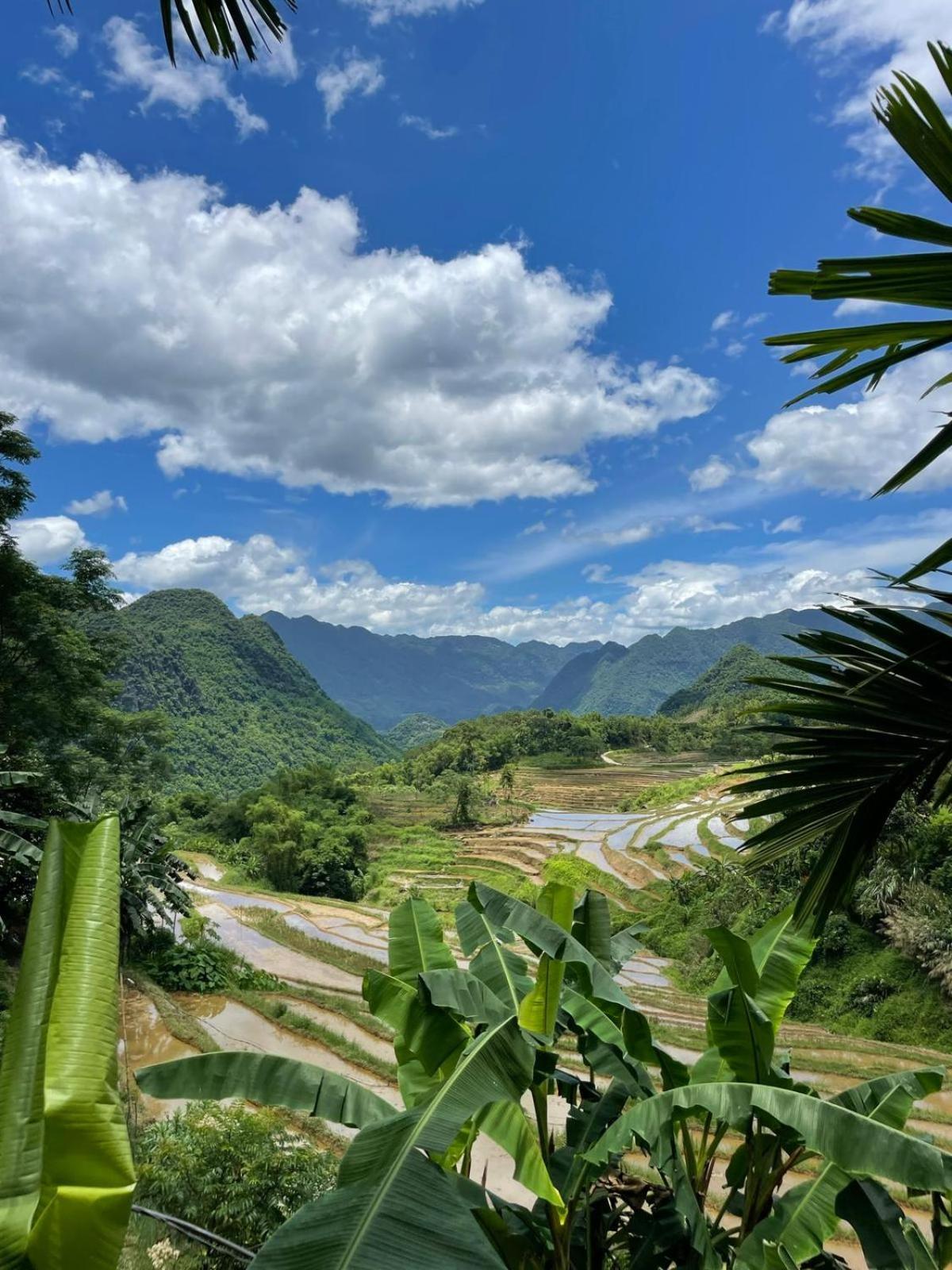 Huong Ba Thuoc Puluong Aroma Bed & Breakfast エクステリア 写真