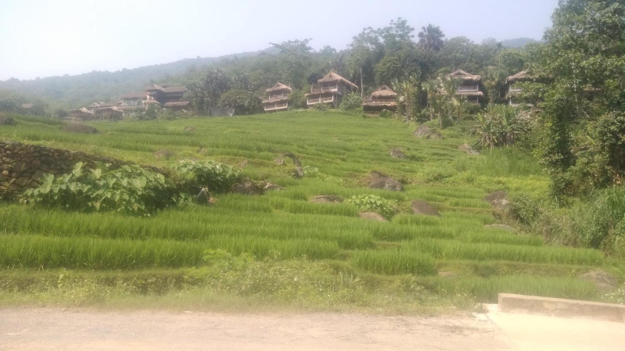 Huong Ba Thuoc Puluong Aroma Bed & Breakfast エクステリア 写真