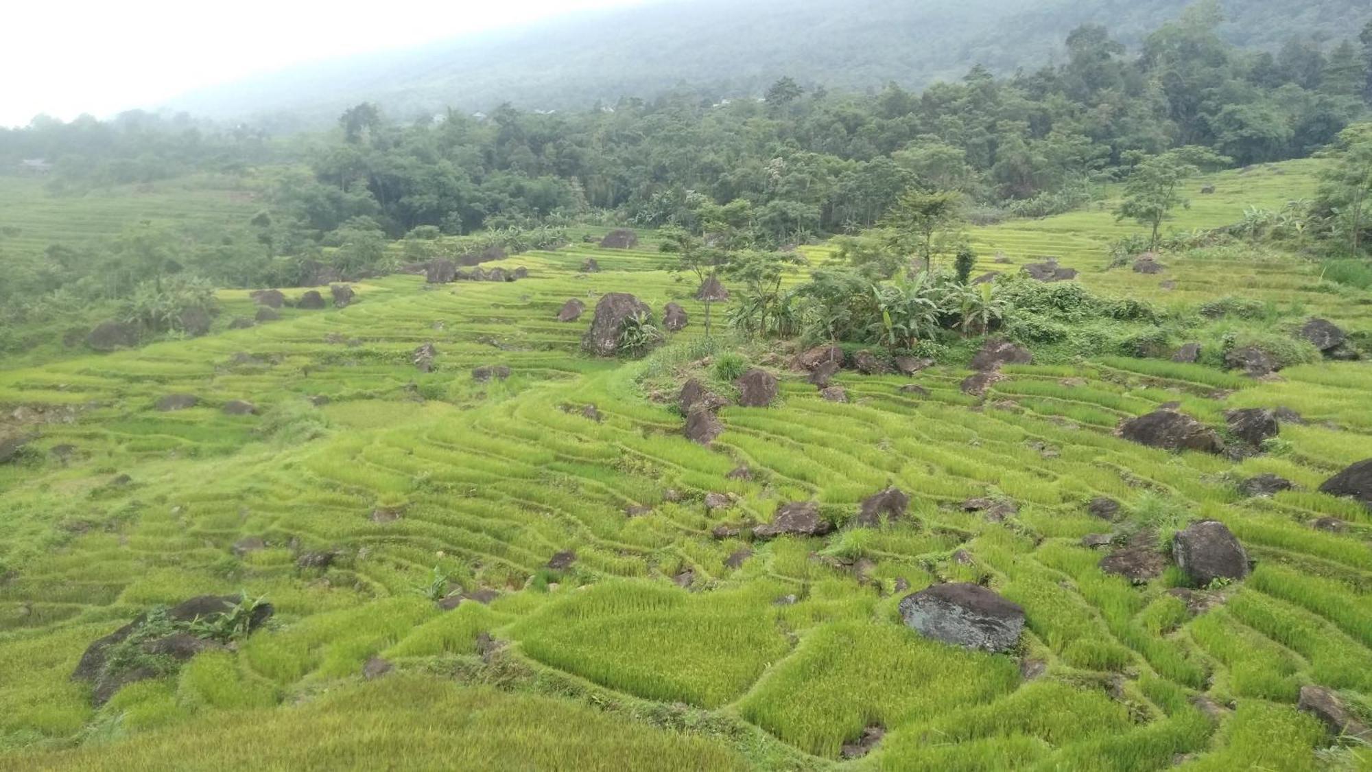 Huong Ba Thuoc Puluong Aroma Bed & Breakfast エクステリア 写真