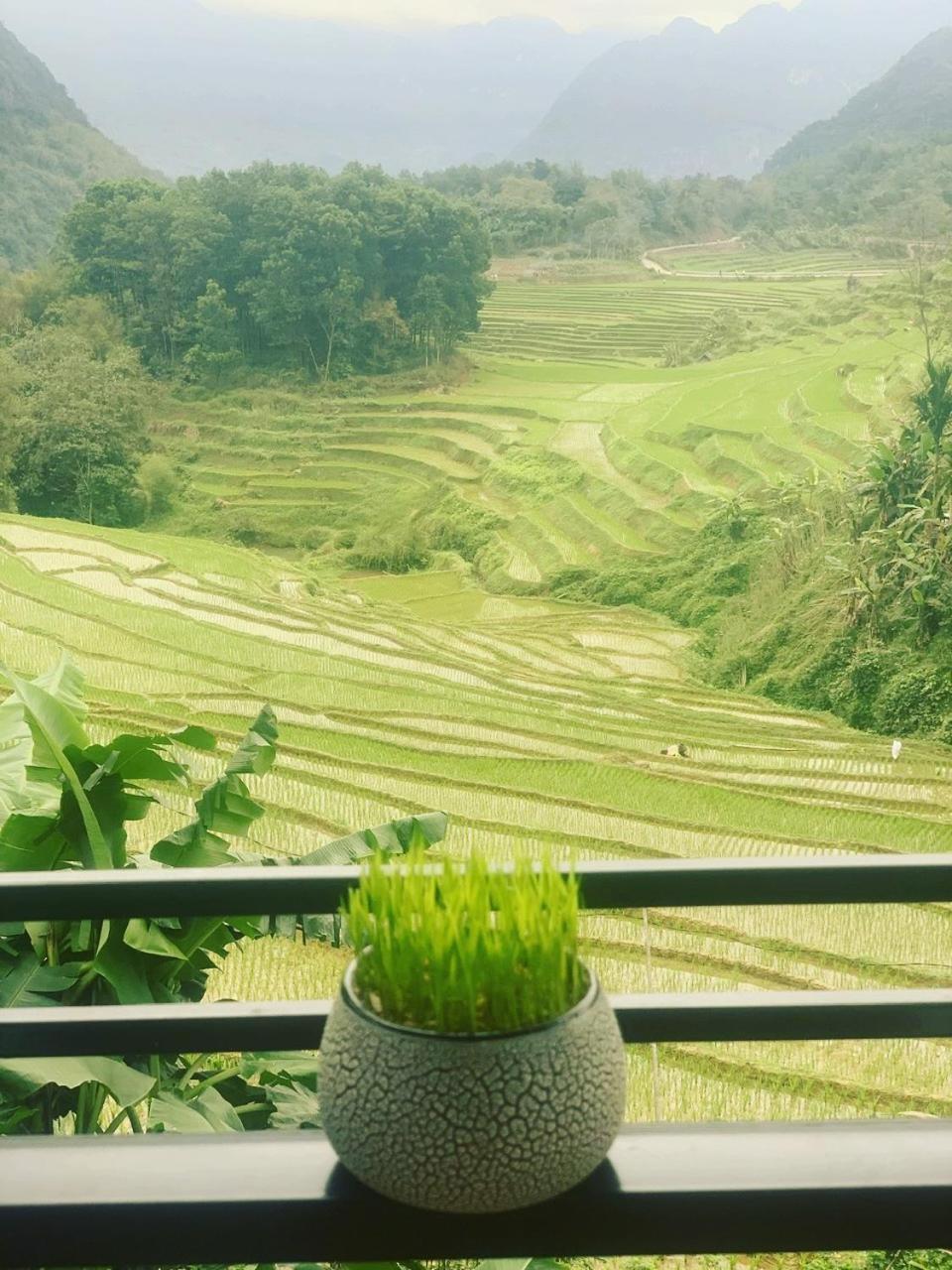 Huong Ba Thuoc Puluong Aroma Bed & Breakfast エクステリア 写真
